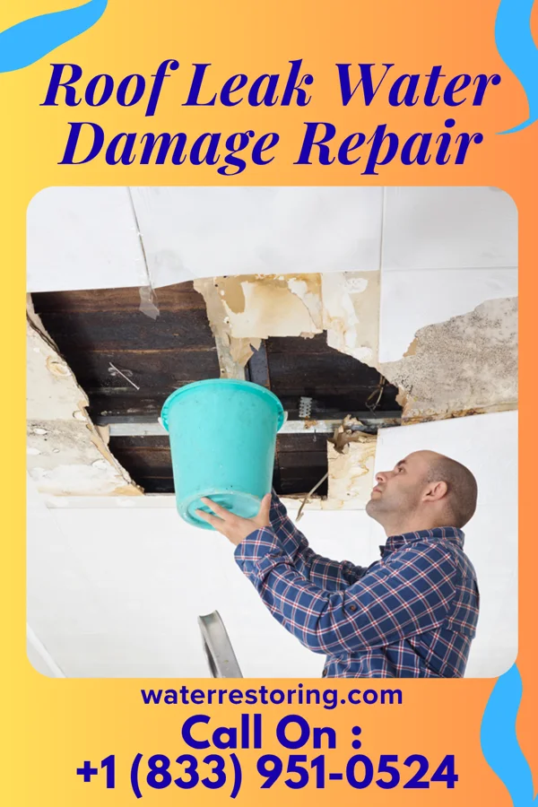 Roof Leak Water Damage Repair in Leonore, IL