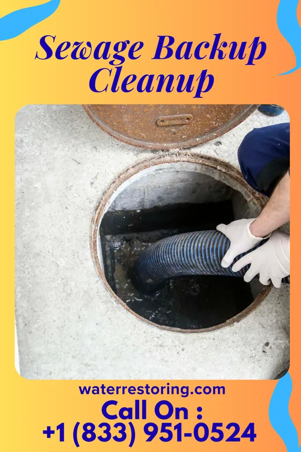 Sewage Backup Cleanup in Leonore, IL